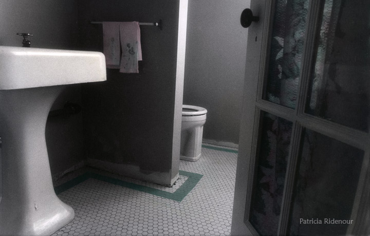 Patricia Ridenour_Kodak infrared film_Hand colored photographs